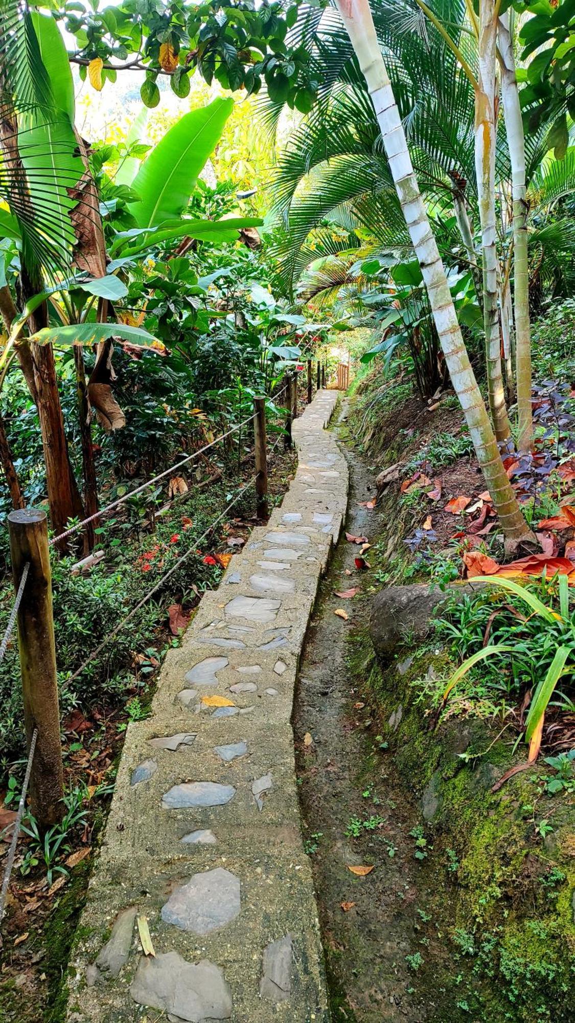 Villa El Eden Minca Exterior foto